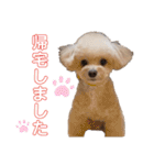 倉松さん家のポワンくん（個別スタンプ：17）