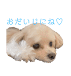 倉松さん家のポワンくん（個別スタンプ：18）