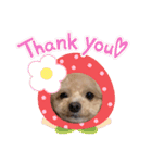 倉松さん家のポワンくん（個別スタンプ：22）