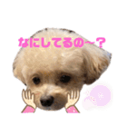 倉松さん家のポワンくん（個別スタンプ：23）
