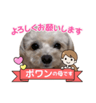 倉松さん家のポワンくん（個別スタンプ：24）
