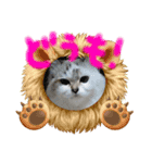 うちの猫いのきとここあ（個別スタンプ：3）