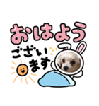 マルチーズのメイちゃん（個別スタンプ：2）