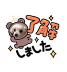 マルチーズのメイちゃん（個別スタンプ：4）