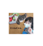 ゆづきだからなんだ！（個別スタンプ：3）
