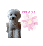 モフモフビション（個別スタンプ：1）