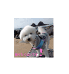 モフモフビション（個別スタンプ：6）