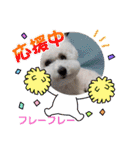 モフモフビション（個別スタンプ：19）
