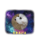 モフモフビション（個別スタンプ：21）