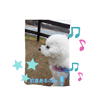 モフモフビション（個別スタンプ：32）