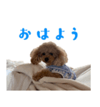うにとつな（個別スタンプ：2）
