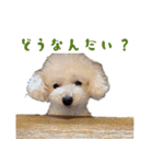 うにとつな（個別スタンプ：7）