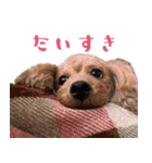 うにとつな（個別スタンプ：11）