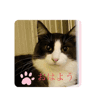 わが家のカイロス王子＊Ver.1（個別スタンプ：1）