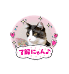 わが家のカイロス王子＊Ver.1（個別スタンプ：3）