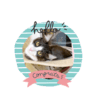わが家のカイロス王子＊Ver.1（個別スタンプ：7）