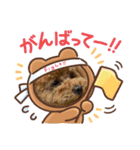 まろぴの日常スタンプ（個別スタンプ：1）