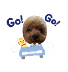まろぴの日常スタンプ（個別スタンプ：11）