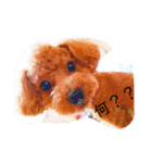 まろぴの日常スタンプ（個別スタンプ：14）