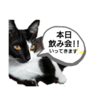 るるすた～日常会話～（個別スタンプ：1）