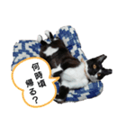 るるすた～日常会話～（個別スタンプ：3）
