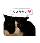 るるすた～日常会話～（個別スタンプ：4）