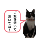 るるすた～日常会話～（個別スタンプ：5）