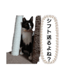 るるすた～日常会話～（個別スタンプ：7）