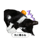るるすた～日常会話～（個別スタンプ：8）