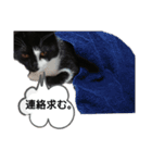 るるすた～日常会話～（個別スタンプ：9）