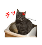 とろろらむもずく（個別スタンプ：1）