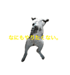 とろろらむもずく（個別スタンプ：6）