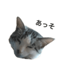 とろろらむもずく（個別スタンプ：8）