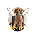 ソラ君スタンプ1（個別スタンプ：2）