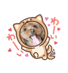 ソラ君スタンプ1（個別スタンプ：10）