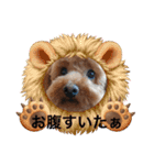 ソラ君スタンプ1（個別スタンプ：11）