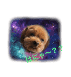 ソラ君スタンプ1（個別スタンプ：12）