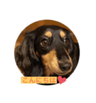 日常のあいさつ えまここ♡（個別スタンプ：2）