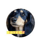 日常のあいさつ えまここ♡（個別スタンプ：4）