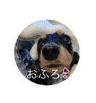 日常のあいさつ えまここ♡（個別スタンプ：11）