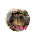 日常のあいさつ えまここ♡（個別スタンプ：12）