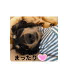 日常のあいさつ えまここ♡（個別スタンプ：13）
