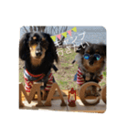 日常のあいさつ えまここ♡（個別スタンプ：14）