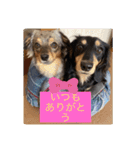日常のあいさつ えまここ♡（個別スタンプ：15）