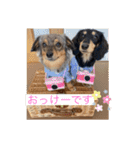 日常のあいさつ えまここ♡（個別スタンプ：16）