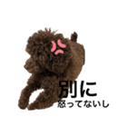 みほぽんさん家の家族1（個別スタンプ：1）