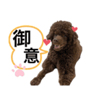 みほぽんさん家の家族1（個別スタンプ：2）
