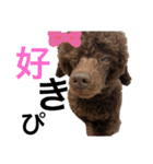 みほぽんさん家の家族1（個別スタンプ：5）