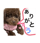 みほぽんさん家の家族1（個別スタンプ：7）