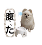 みほぽんさん家の家族1（個別スタンプ：9）